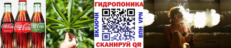 Купить закладки  Новоаннинский  Cannafood марихуана 
