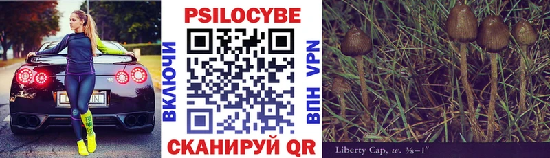 Купить закладки  Новоаннинский  Псилоцибиновые грибы MAGIC MUSHROOMS 